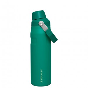 Stanley IceFlow Insulated Bottle with Fast Flow Lid | 24 OZ Alpine | 49MLPAZBS