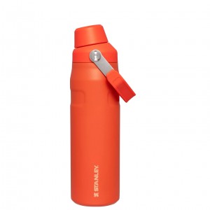Stanley IceFlow Insulated Bottle with Fast Flow Lid | 24 OZ Tigerlily | 06MVJFAGN