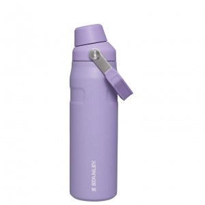 Stanley IceFlow Insulated Bottle with Fast Flow Lid | 24 OZ Lavanta | 06VYHKBZC
