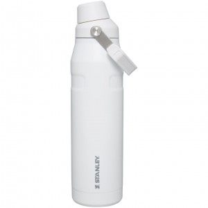 Stanley IceFlow Insulated Bottle with Fast Flow Lid | 36 OZ Polar | 17XHAFJCG