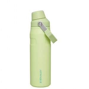 Stanley IceFlow Insulated Bottle with Fast Flow Lid | 24 OZ Citron | 17QHGFVLW