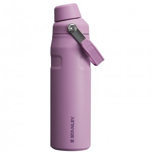 Stanley IceFlow Insulated Bottle with Fast Flow Lid | 24 OZ Lilac | 18RMSCEYH
