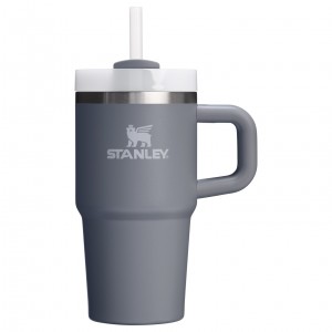 Stanley Quencher H2.0 Travel Tumbler With Handle & Straw | 20 OZ Stone | 15WAQINKO