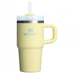 Stanley Quencher H2.0 Travel Tumbler With Handle & Straw | 20 OZ Pomelo | 28GRKHPYW