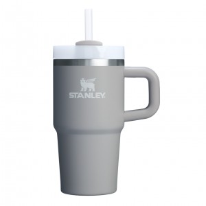 Stanley Quencher H2.0 Travel Tumbler With Handle & Straw | 20 OZ Ash | 85HRUTONV