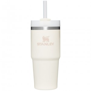 Stanley Quencher H2.0 Travel Tumbler | 14 OZ Krema | 47SODYFCE