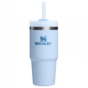 Stanley Quencher H2.0 Travel Tumbler | 14 OZ Glacier | 32MOLSHYZ