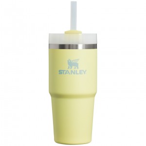 Stanley Quencher H2.0 Travel Tumbler | 14 OZ Pomelo | 57NUFHKSI