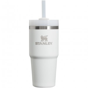 Stanley Quencher H2.0 Travel Tumbler | 14 OZ Frost | 71KWCOVDS