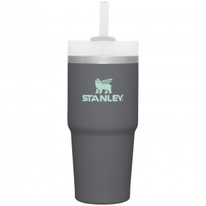 Stanley Quencher H2.0 Travel Tumbler | 14 OZ Charcoal | 96PHWOZXI
