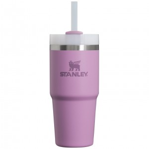 Stanley Quencher H2.0 Travel Tumbler | 14 OZ Lilac | 64HGACSBI