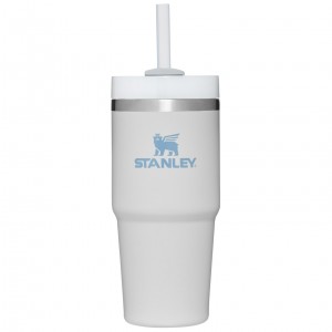 Stanley Quencher H2.0 Travel Tumbler | 14 OZ Fog | 80OKUBJNM
