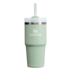 Stanley Quencher H2.0 Travel Tumbler | 14 OZ Krema | 31TXMGDCS