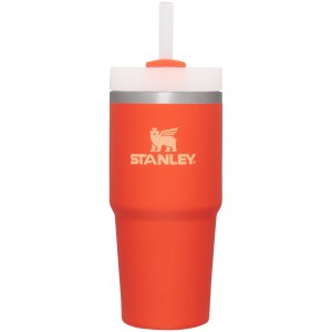 Stanley Quencher H2.0 Travel Tumbler | 14 OZ Tigerlily | 72UKTBHSO