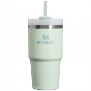 Stanley Quencher H2.0 Travel Tumbler | 20 OZ Mist | 53CLWTYEI