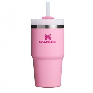 Stanley Quencher H2.0 Travel Tumbler | 20 OZ Peony | 79OAUJKGQ