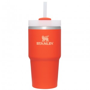 Stanley Quencher H2.0 Travel Tumbler | 20 OZ Tigerlily | 82IKCJMVR