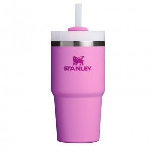 Stanley Quencher H2.0 Travel Tumbler | 20 OZ Peony | 79NZLOBCP