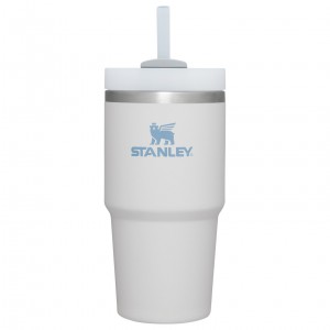 Stanley Quencher H2.0 Travel Tumbler | 20 OZ Fog | 60BQTYULO