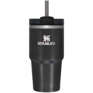 Stanley Quencher H2.0 Travel Tumbler | 20 OZ Siyah | 26XMJQLNR