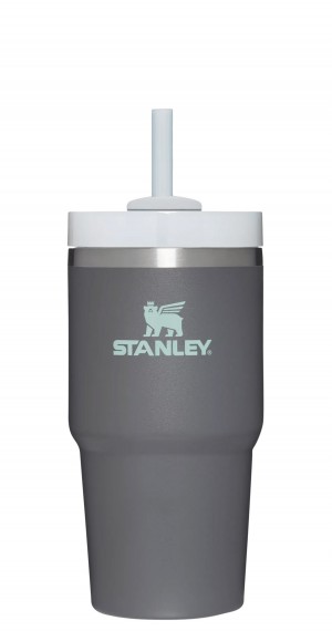 Stanley Quencher H2.0 Travel Tumbler | 20 OZ Charcoal | 40ODUYLNG