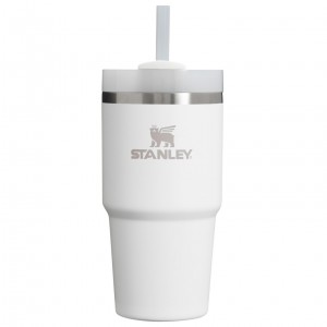 Stanley Quencher H2.0 Travel Tumbler | 20 OZ Frost | 95DMROGZQ