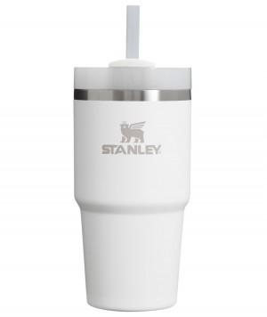 Stanley Quencher H2.0 Travel Tumbler | 20 OZ Frost | 80NAKUQCM