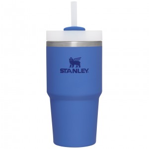 Stanley Quencher H2.0 Travel Tumbler | 20 OZ Iris | 01XJABMZG