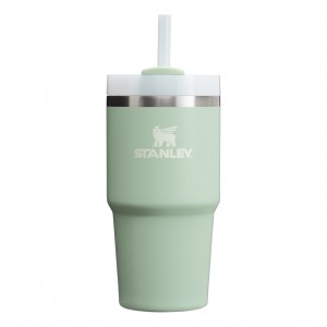 Stanley Quencher H2.0 Travel Tumbler | 20 OZ Krema | 08FRCVEDT
