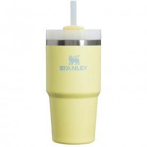 Stanley Quencher H2.0 Travel Tumbler | 20 OZ Pomelo | 87ZIOYAQL