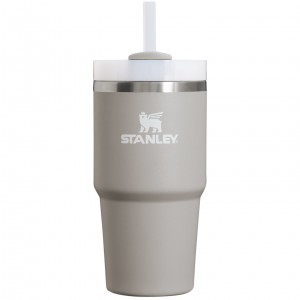 Stanley Quencher H2.0 Travel Tumbler | 20 OZ Ash | 31SCOFJDV