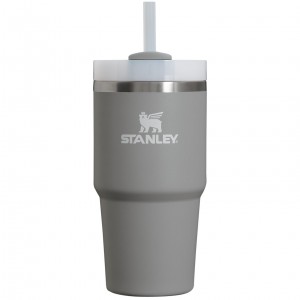 Stanley Quencher H2.0 Travel Tumbler | 20 OZ Stone | 97ZWHSITF