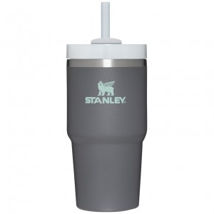 Stanley Quencher H2.0 Travel Tumbler | 20 OZ Charcoal | 51VLWGASZ