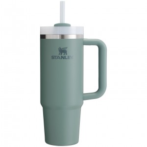 Stanley Quencher H2.0 Travel Tumbler | 30 OZ Shale | 81QVUMFAB