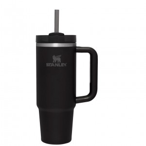 Stanley Quencher H2.0 Travel Tumbler | 30 OZ Siyah | 97RCZNPUX