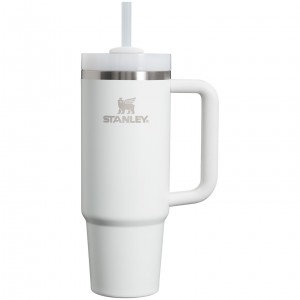 Stanley Quencher H2.0 Travel Tumbler | 30 OZ Frost | 71SIETMDZ