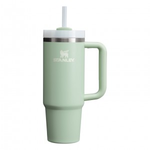 Stanley Quencher H2.0 Travel Tumbler | 30 OZ Krema | 59KPOTQSG