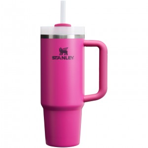 Stanley Quencher H2.0 Travel Tumbler | 30 OZ Küpe Çiçeği | 40UNKOHWM