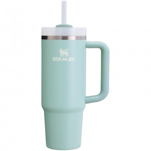 Stanley Quencher H2.0 Travel Tumbler | 30 OZ Seafoam | 01NLUWZRB