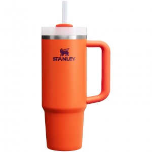 Stanley Quencher H2.0 Travel Tumbler | 30 OZ Tigerlily Plum | 91TIHUXPF