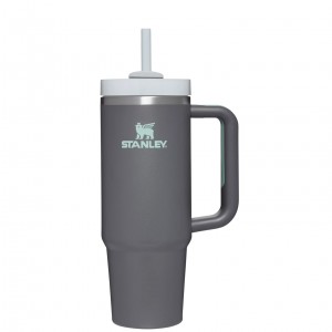 Stanley Quencher H2.0 Travel Tumbler | 30 OZ Charcoal | 12TJAKLZV