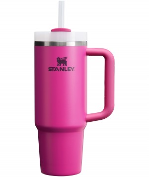 Stanley Quencher H2.0 Travel Tumbler | 30 OZ Küpe Çiçeği | 05TAOYDZE