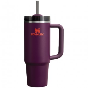 Stanley Quencher H2.0 Travel Tumbler | 30 OZ Plum | 34RVUMQLE