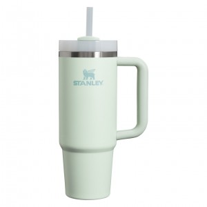 Stanley Quencher H2.0 Travel Tumbler | 30 OZ Mist | 87QNMADTL