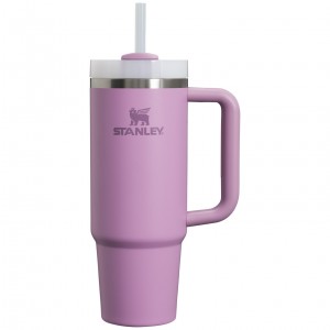 Stanley Quencher H2.0 Travel Tumbler | 30 OZ Lilac | 51INTLDXU