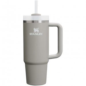 Stanley Quencher H2.0 Travel Tumbler | 30 OZ Ash | 34SQAGKVR