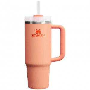 Stanley Quencher H2.0 Travel Tumbler | 30 OZ Nectarine | 05TWGUPXH