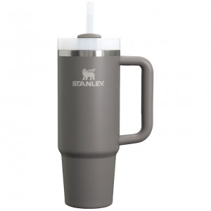 Stanley Quencher H2.0 Travel Tumbler | 30 OZ Stone | 61CXKYEJO