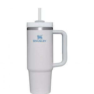 Stanley Quencher H2.0 Travel Tumbler | 30 OZ Fog | 63UKCTIXO