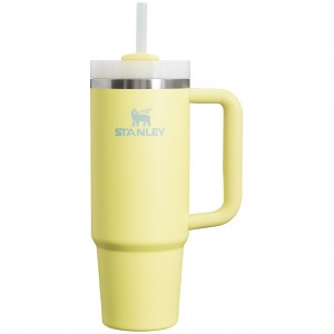 Stanley Quencher H2.0 Travel Tumbler | 30 OZ Pomelo | 51QYJFHKU